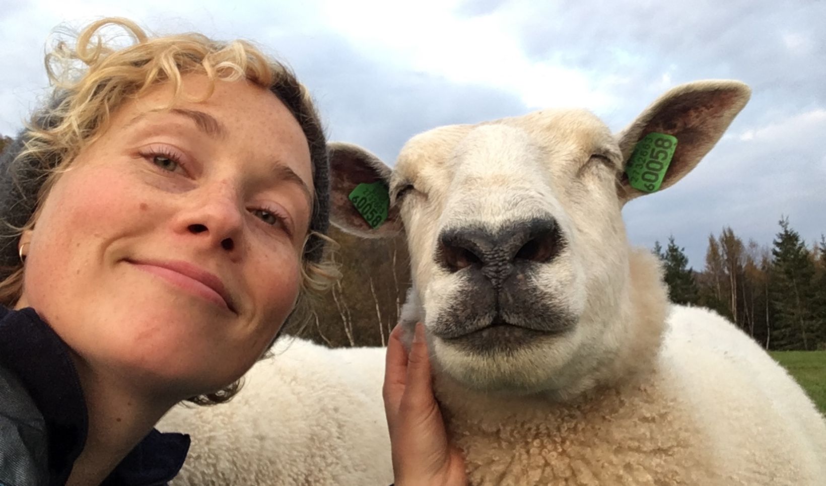 a person taking a selfie with a llama