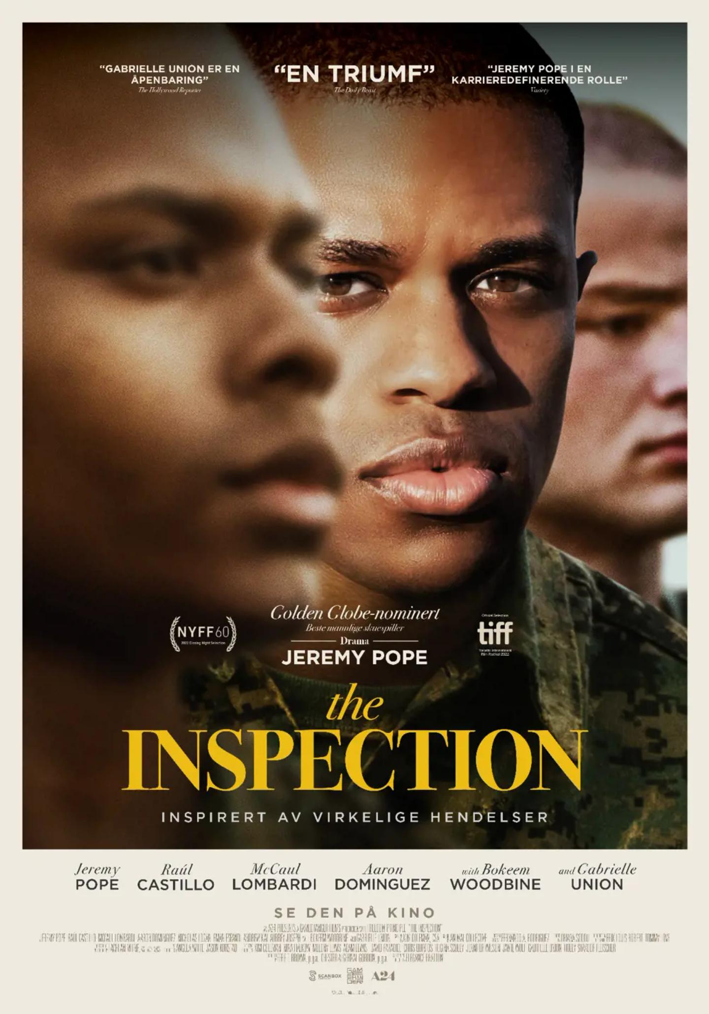Plakat for 'The Inspection'