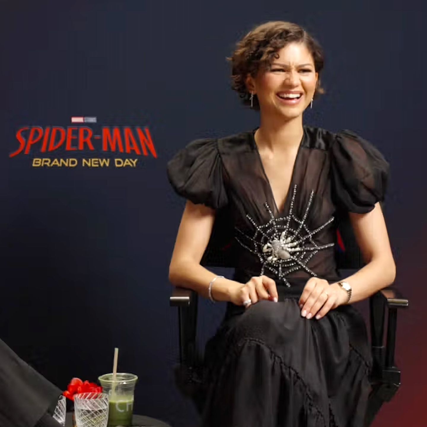 Tom Holland og Zendaya, Spider-Man: Brand New Day