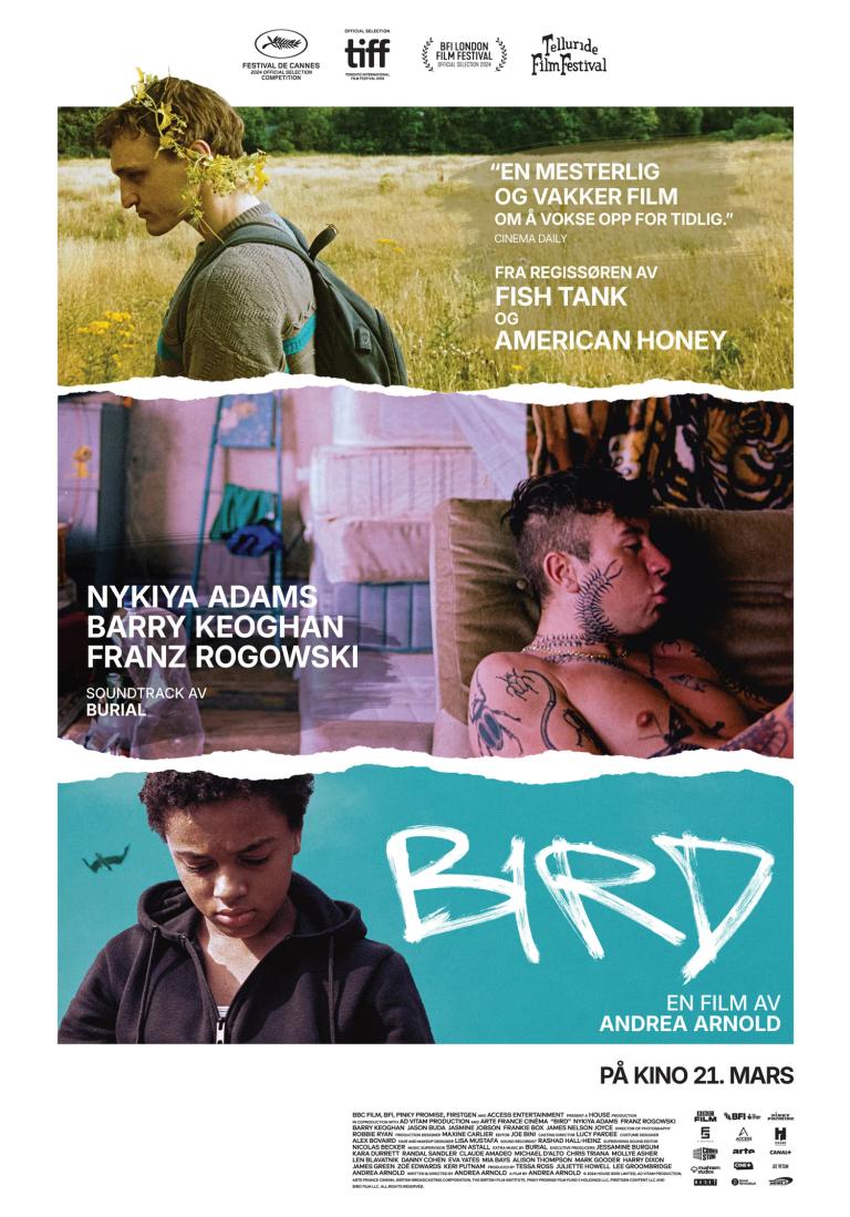 Plakat for 'Bird'