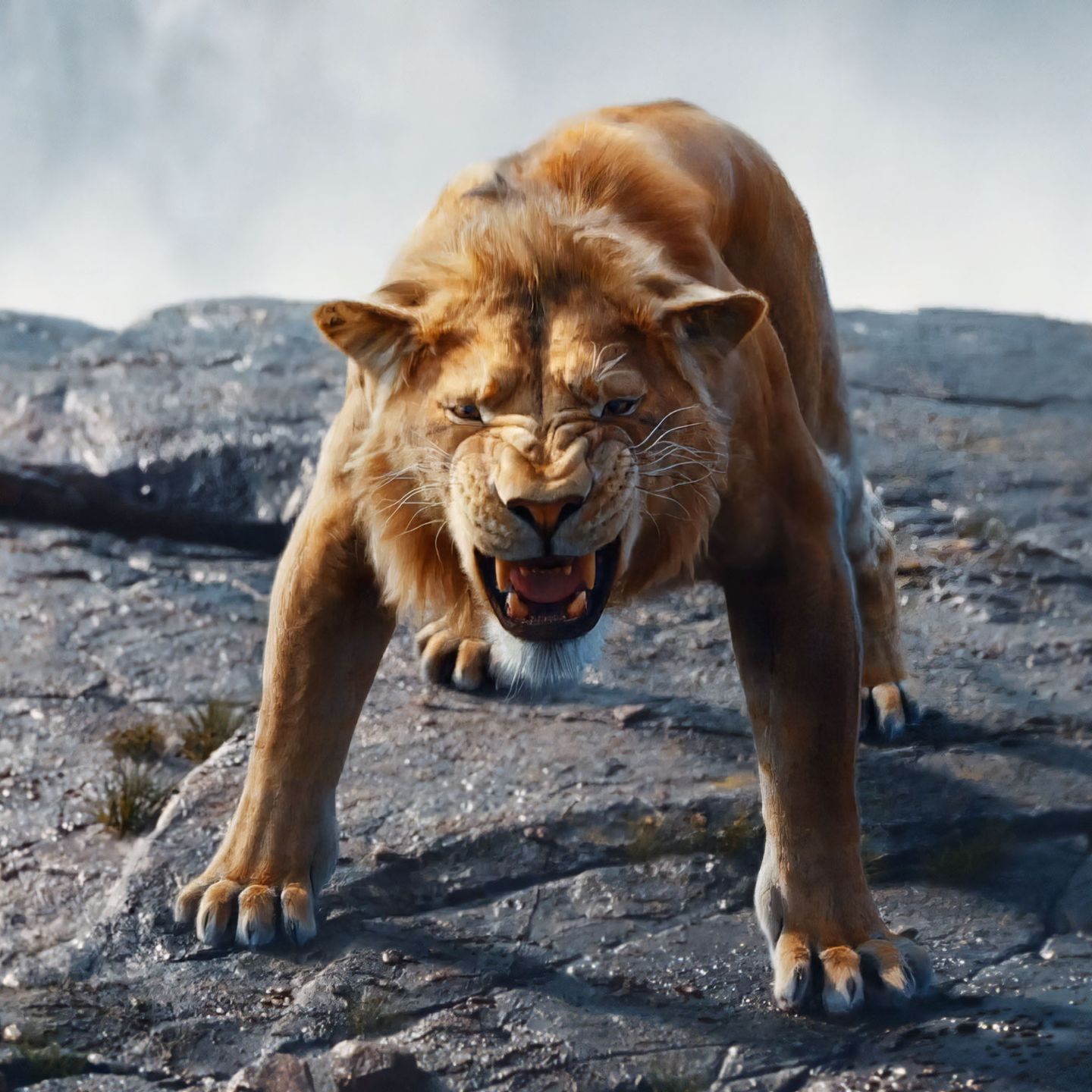 Stillbilde fra første trailer til Mufasa: The Lion King
