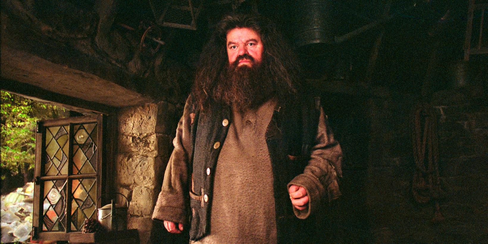 Robbie Coltrane som Rubeus Hagrid