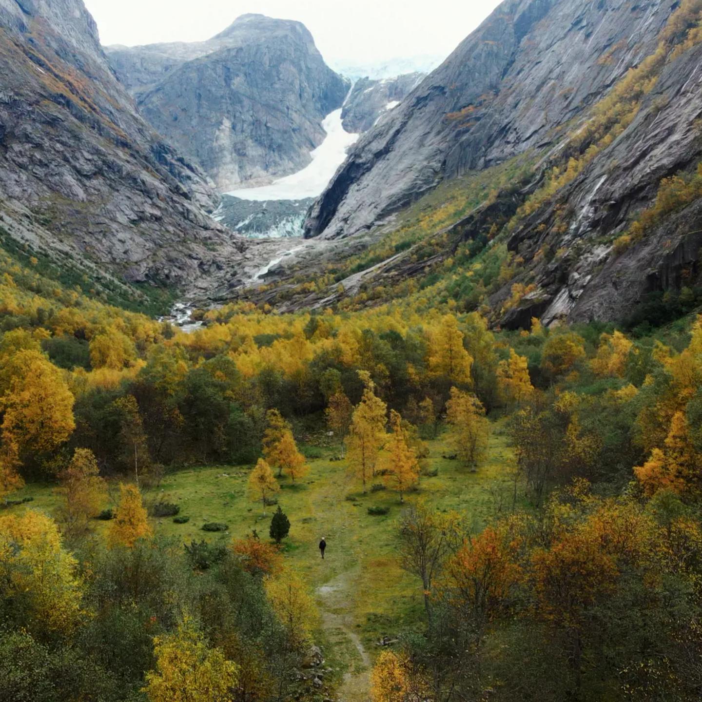 a valley between mountains with trees