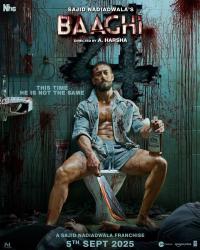 Plakat for 'Baaghi 4'