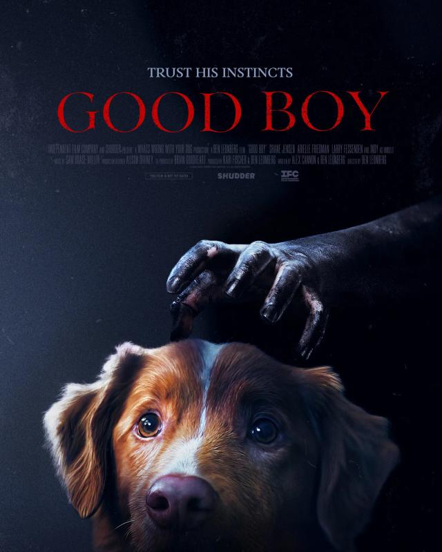 Bilde fra 'Good Boy'