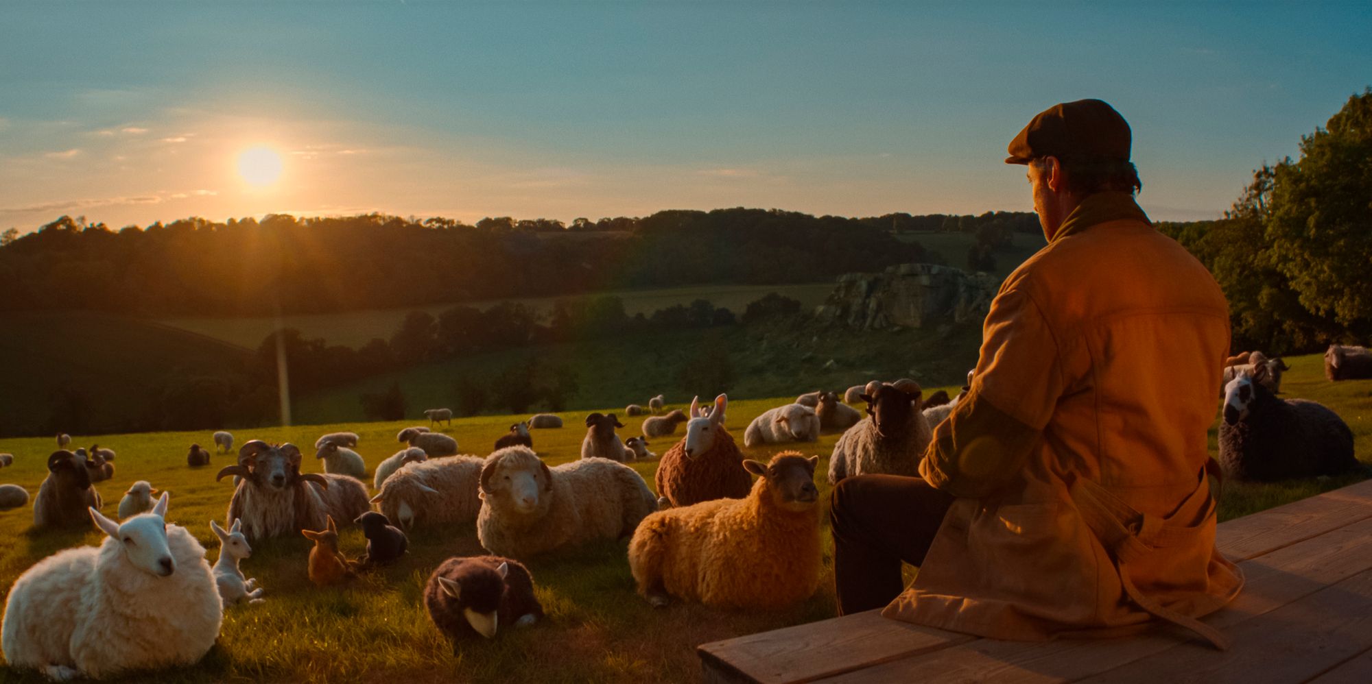 Bilde fra 'Sauedetektivene'