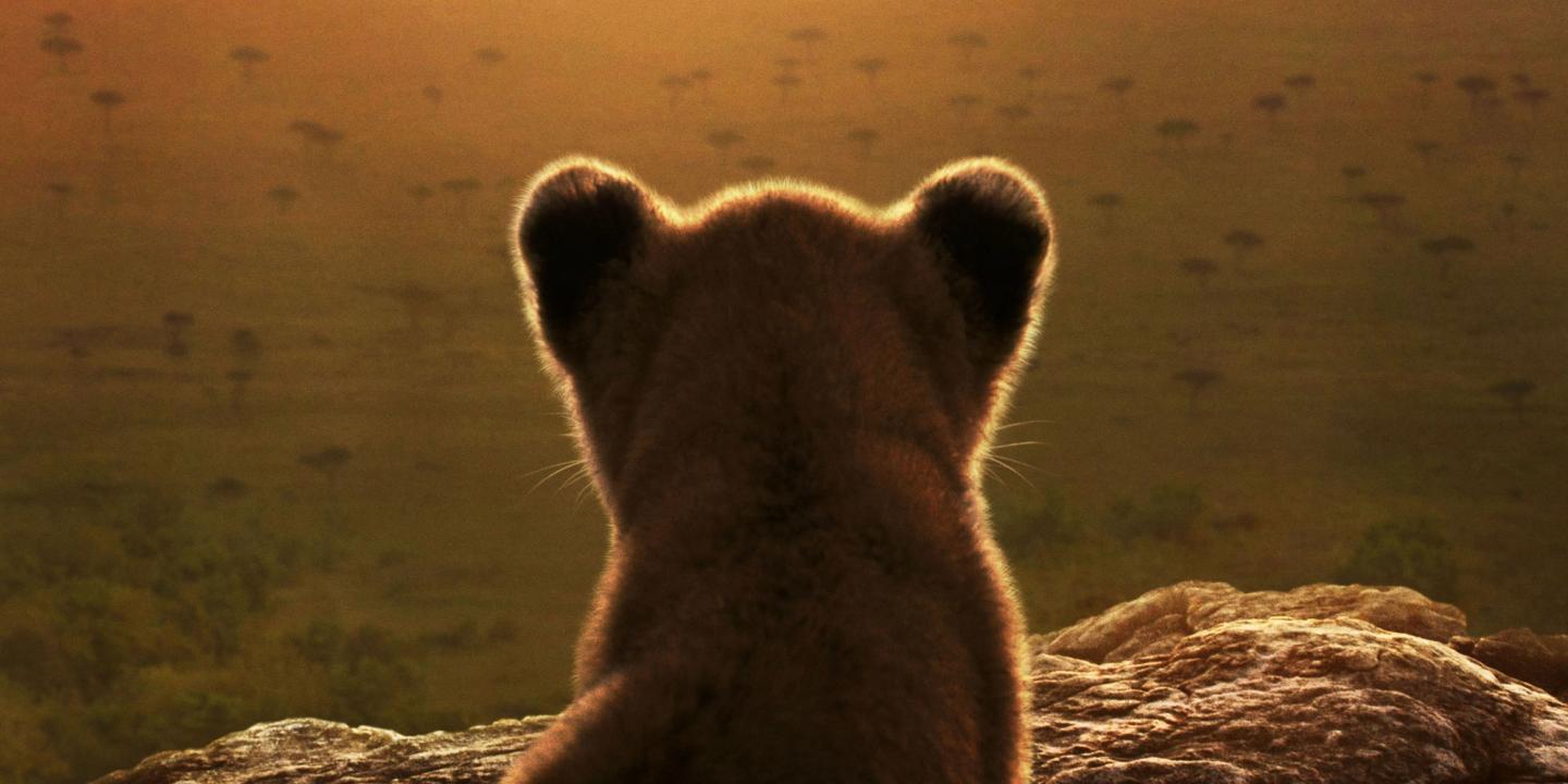 Utsnitt fra plakaten til Lion (serie)