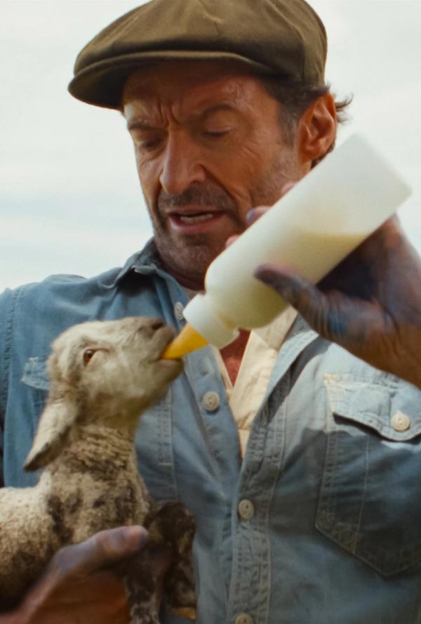 Bilde fra 'Sauedetektivene'