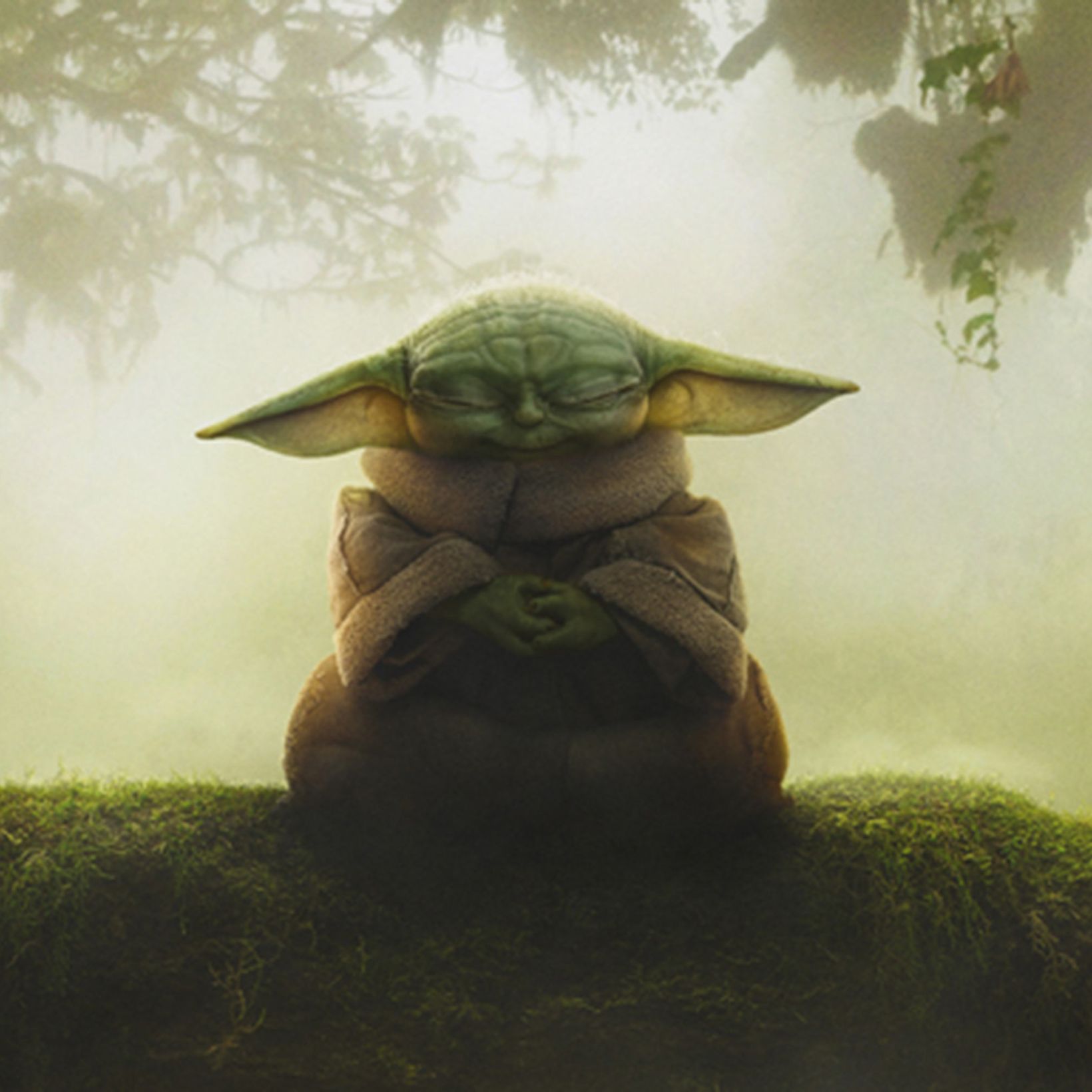 The Mandalorian and Grogu