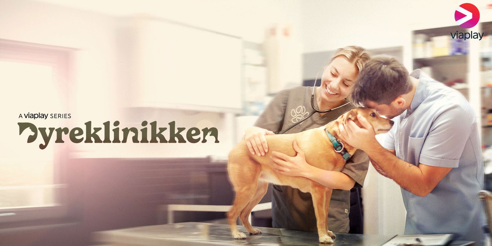 Promobilde for Dyreklinikken