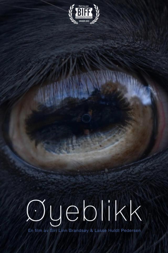 Øyeblikk - Liggende bilde