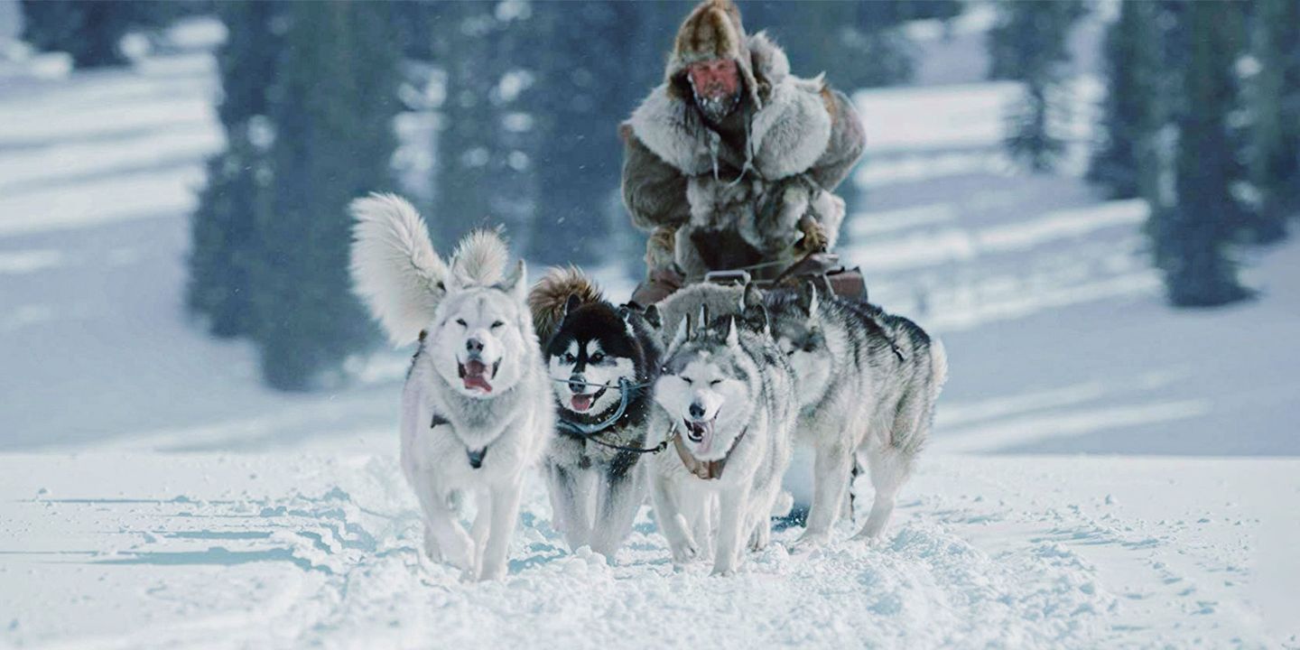 The Great Alaskan Race