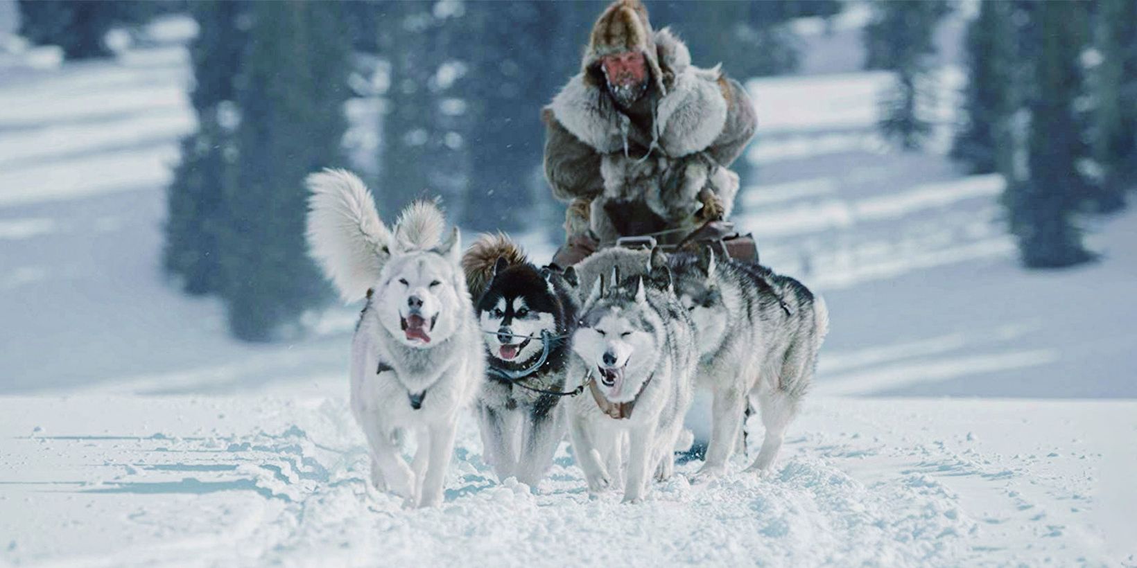 The Great Alaskan Race