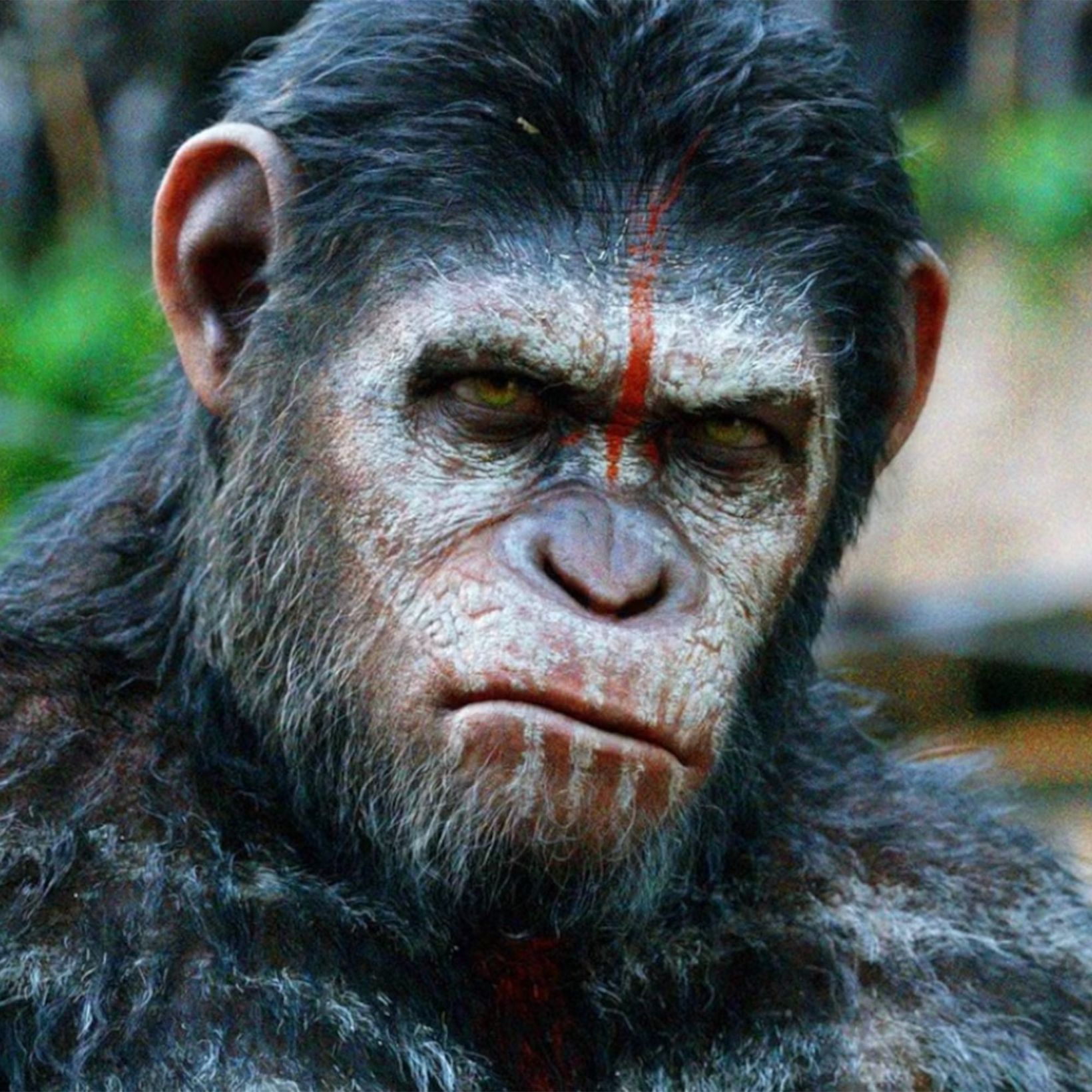 Planet of the Apes