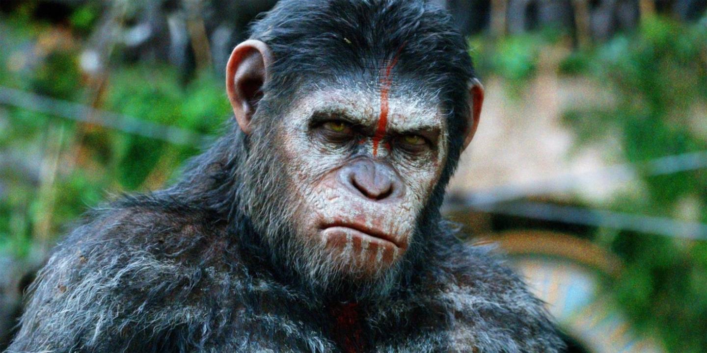 Planet of the Apes