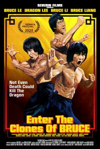Plakat for 'Enter the Clones of Bruce'