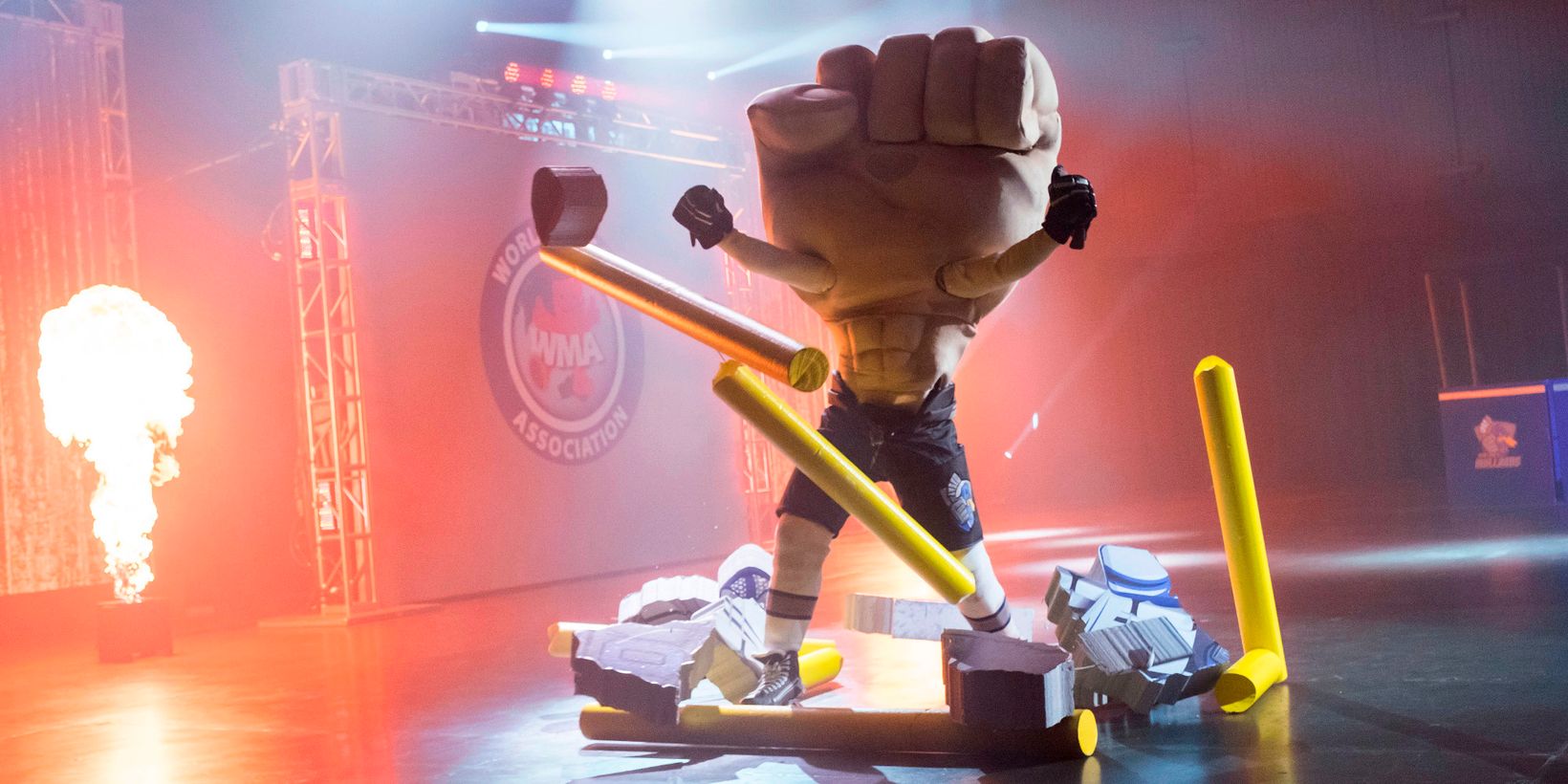 Mascots (2016)
