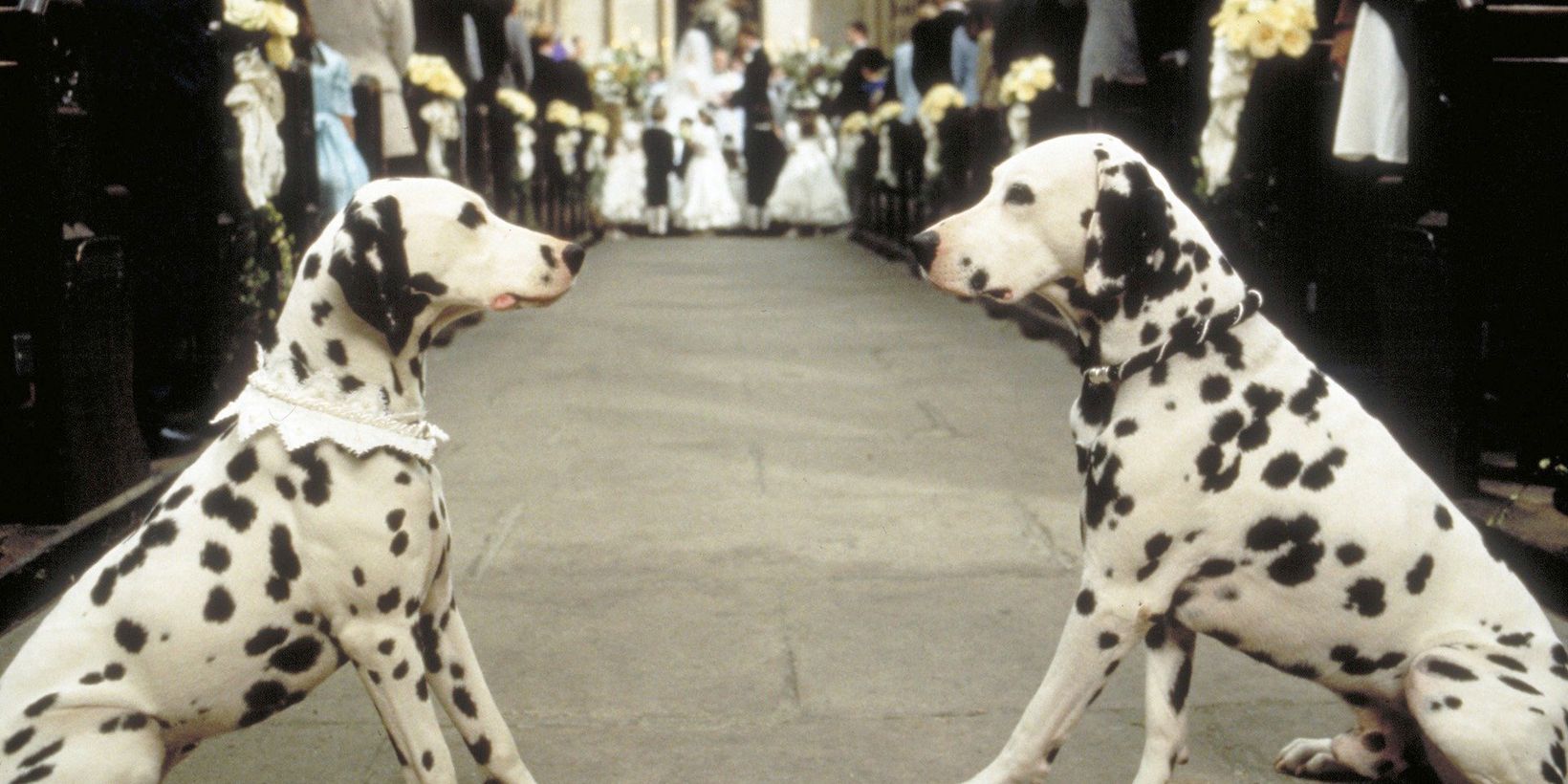 101 dalmatinere/101 Dalmatians