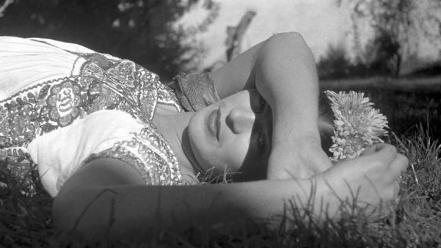 a person lying on the grass
