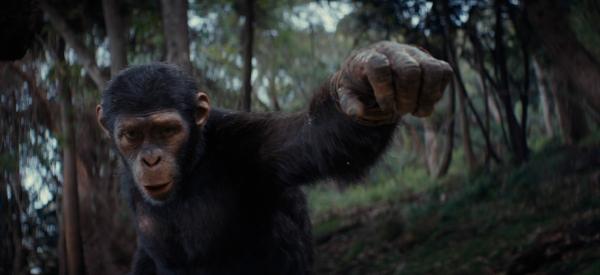 Bilde fra 'Kingdom of the Planet of the Apes'