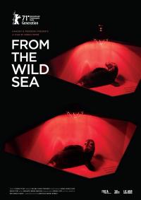 Plakat for 'From the Wild Sea'