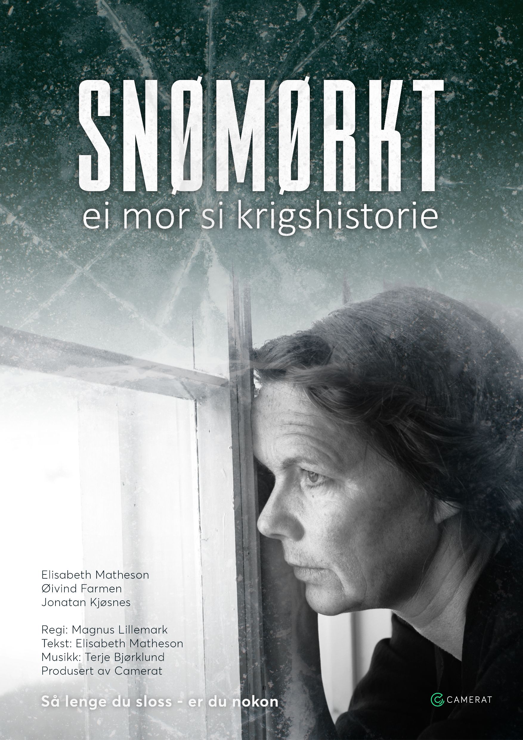 Snømørkt
