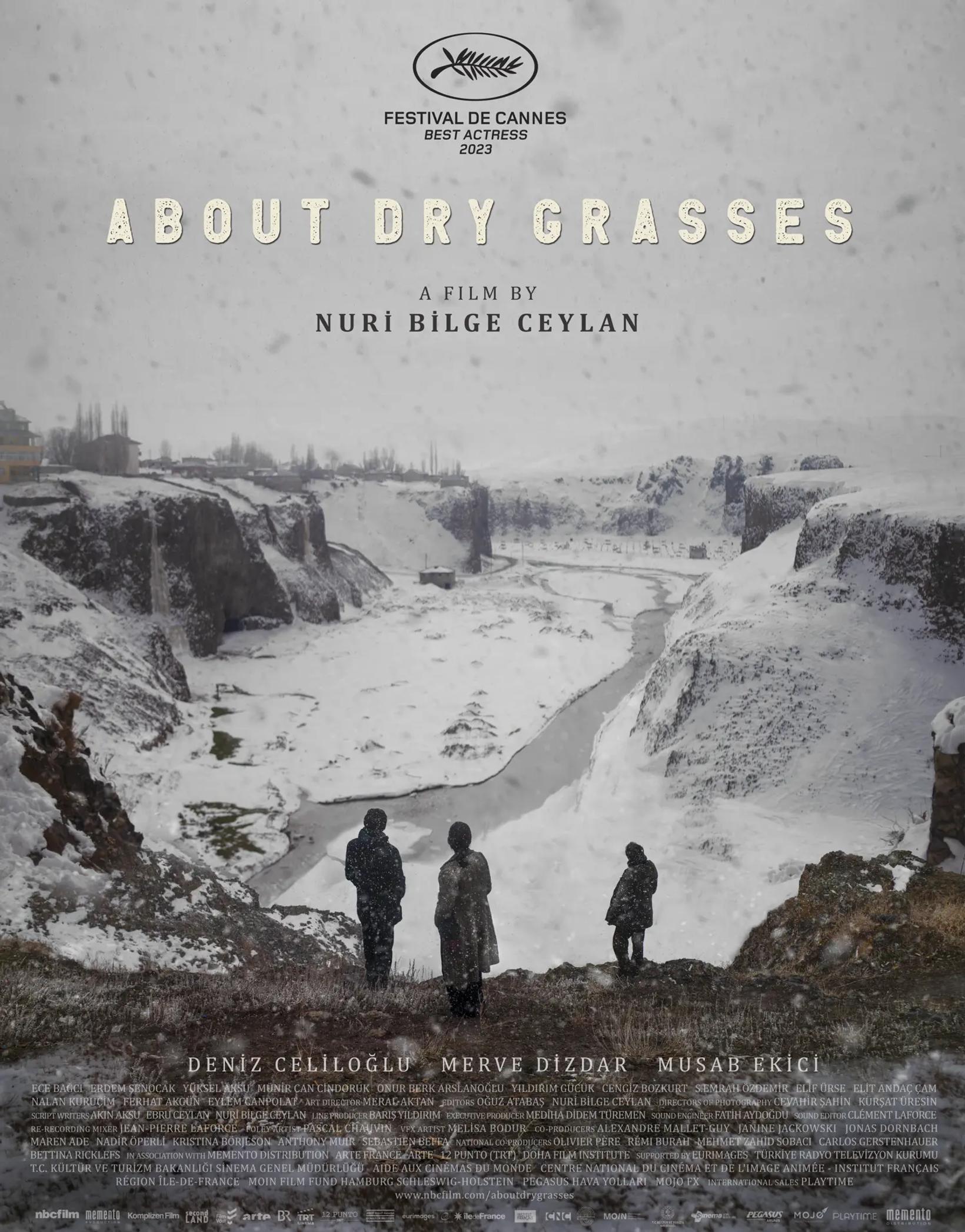 About Dry Grasses