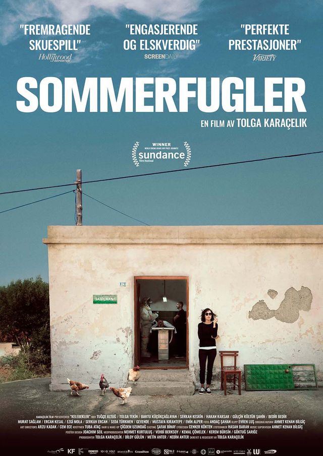 Sommerfugler