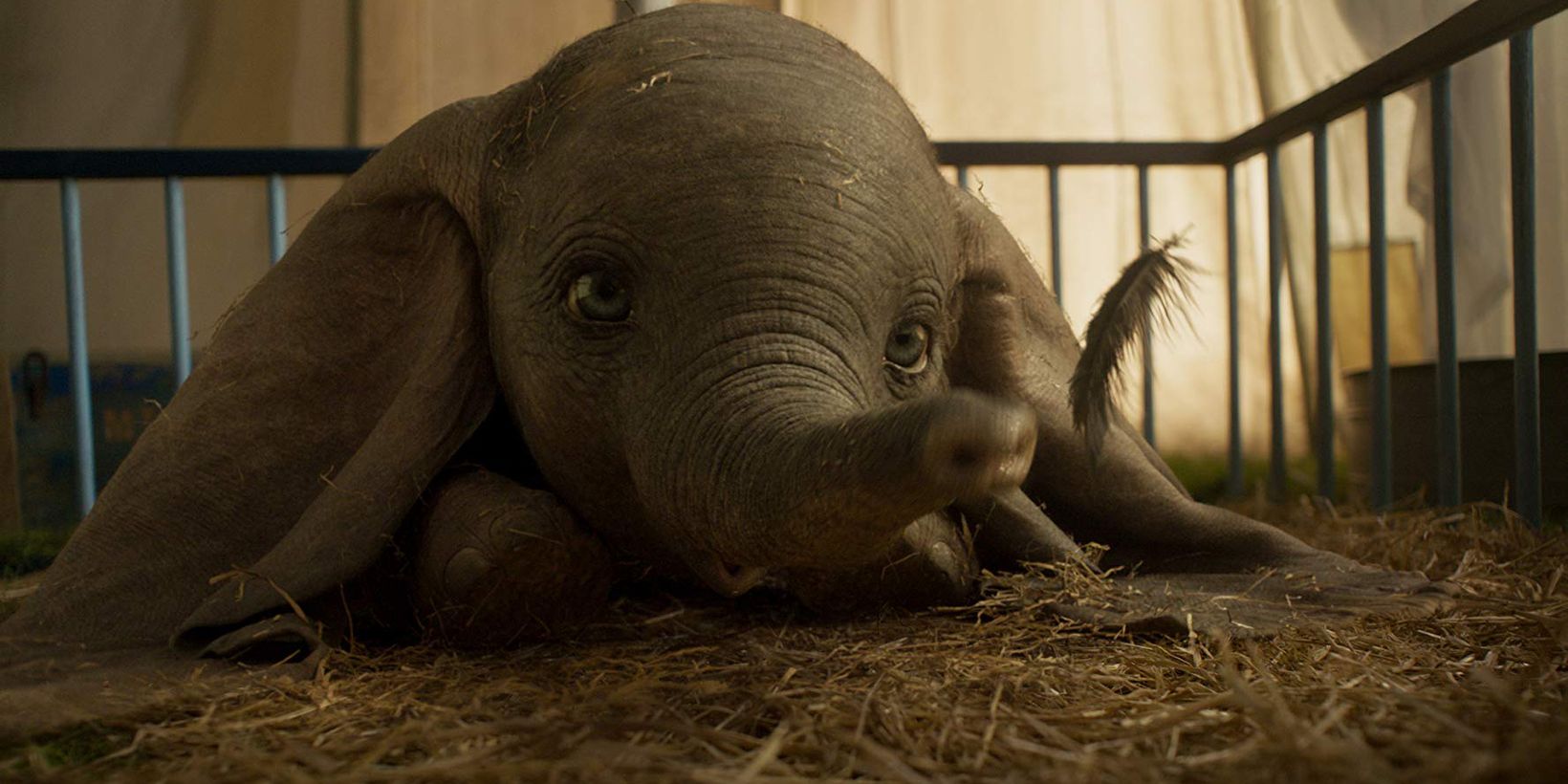 Dumbo