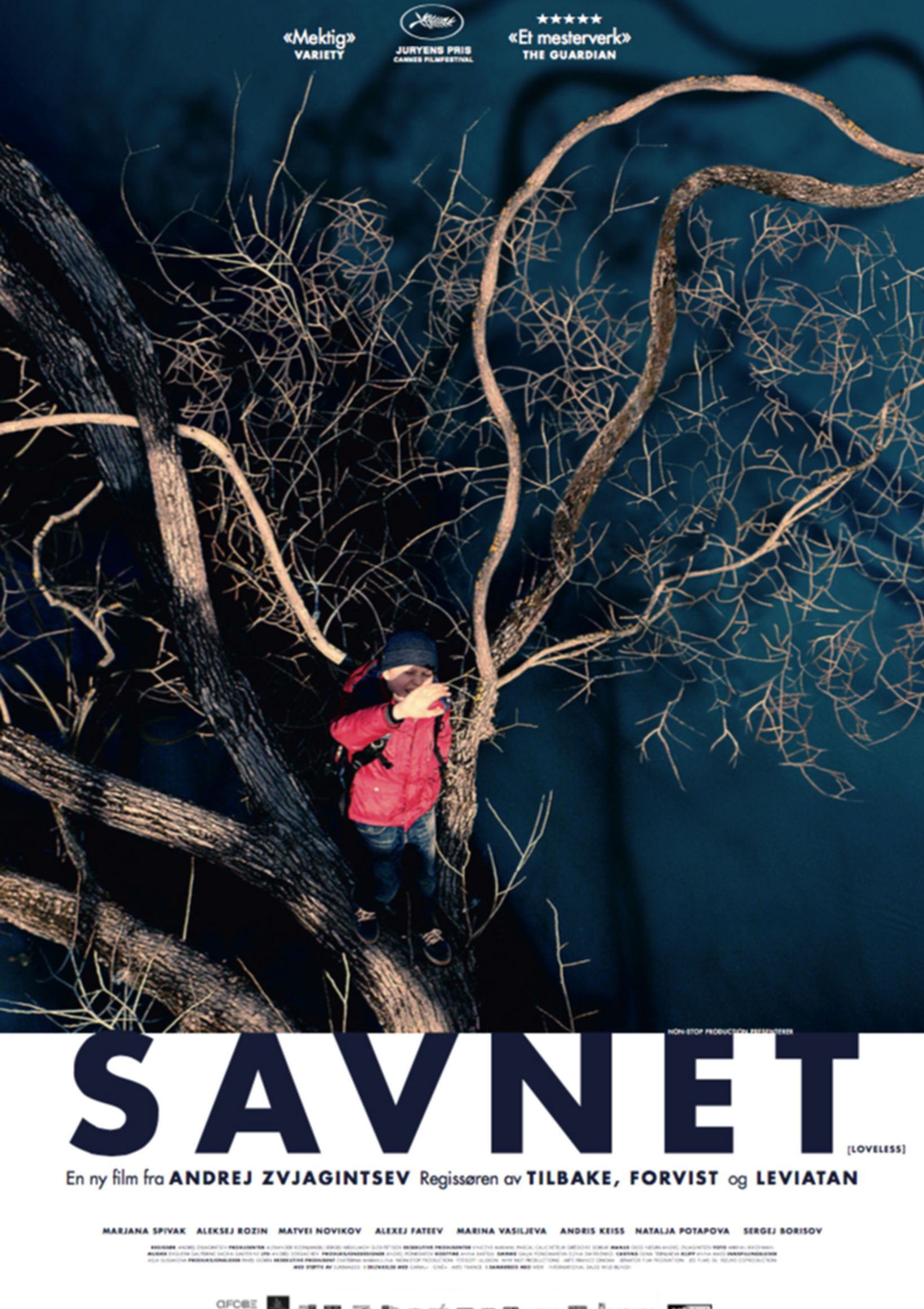 Plakat for 'Savnet'