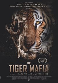 Plakat for 'The Tiger Mafia'
