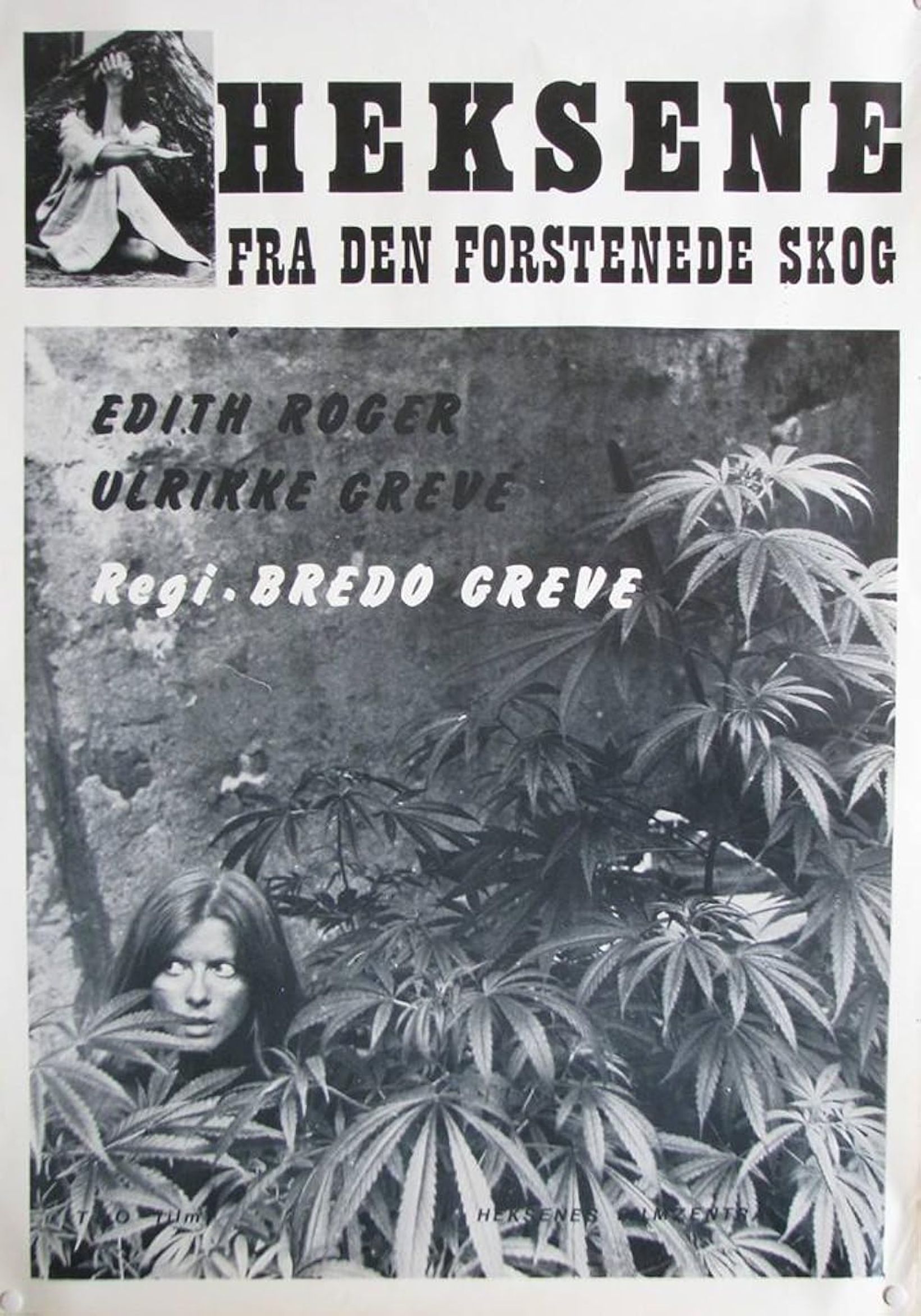 Heksene fra den forstenede skog (1976)