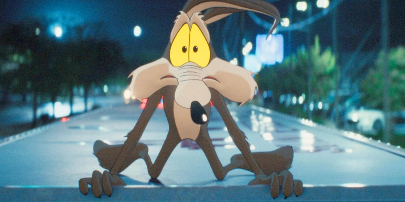 Coyote vs. Acme