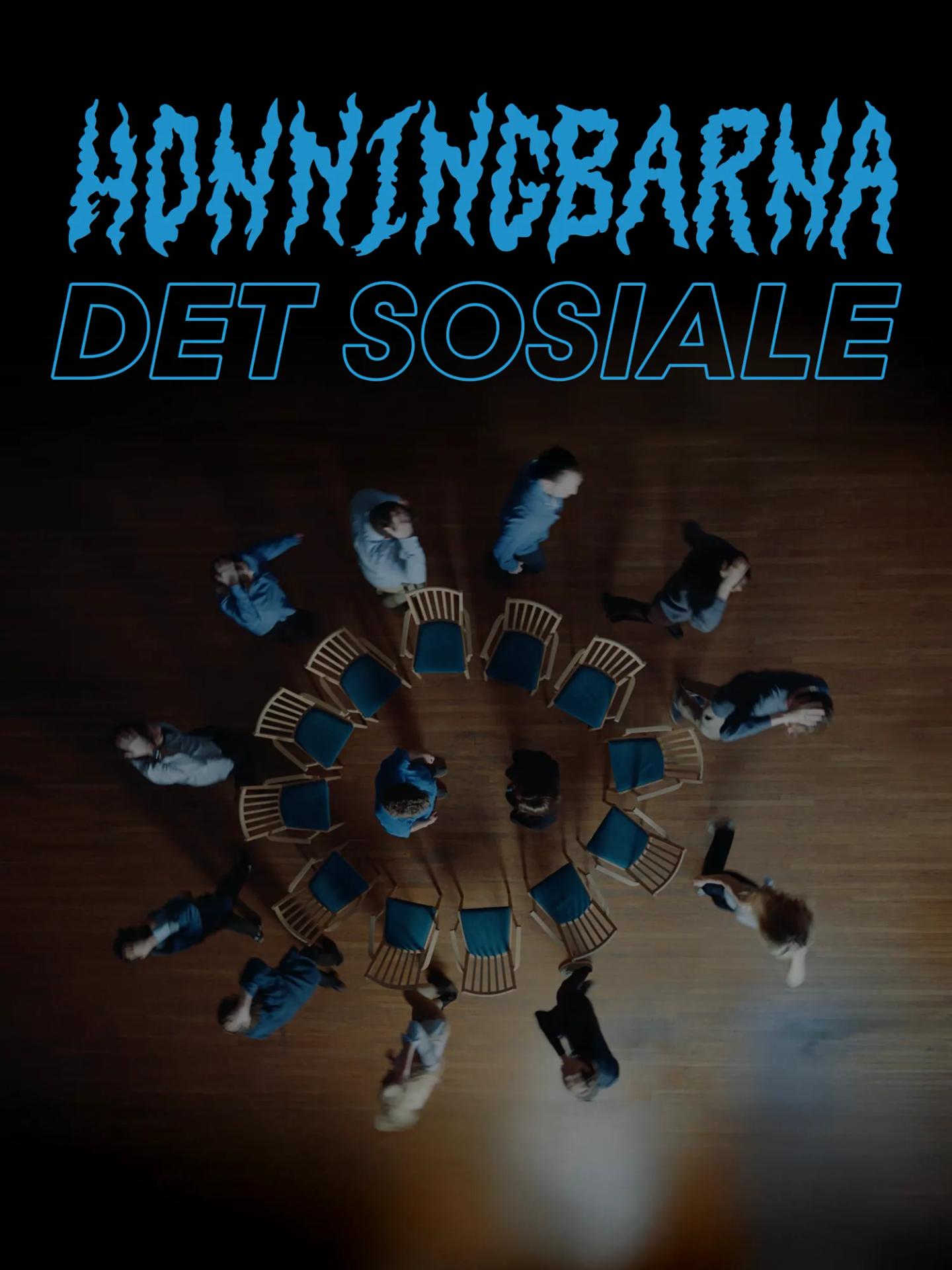 Det Sosiale