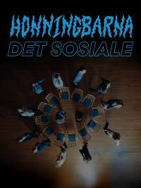 Plakat for 'Det Sosiale'