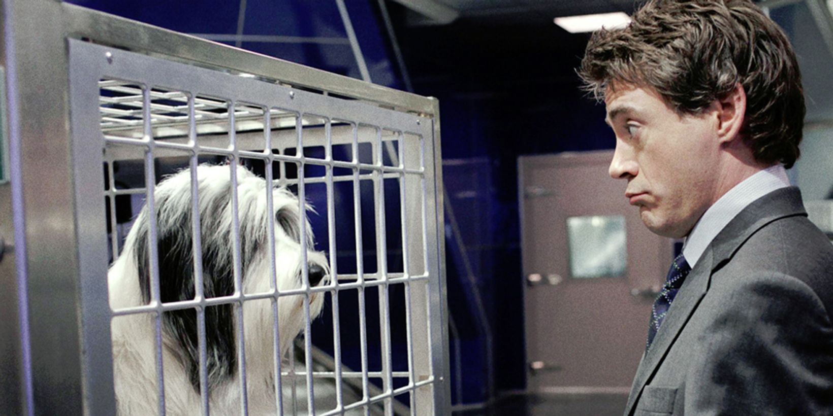 Robert Downey Jr. i The Shaggy Dog