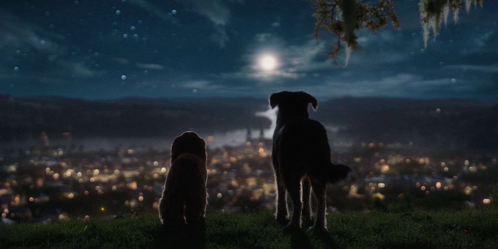 Lady og landstrykeren/Lady and the Tramp