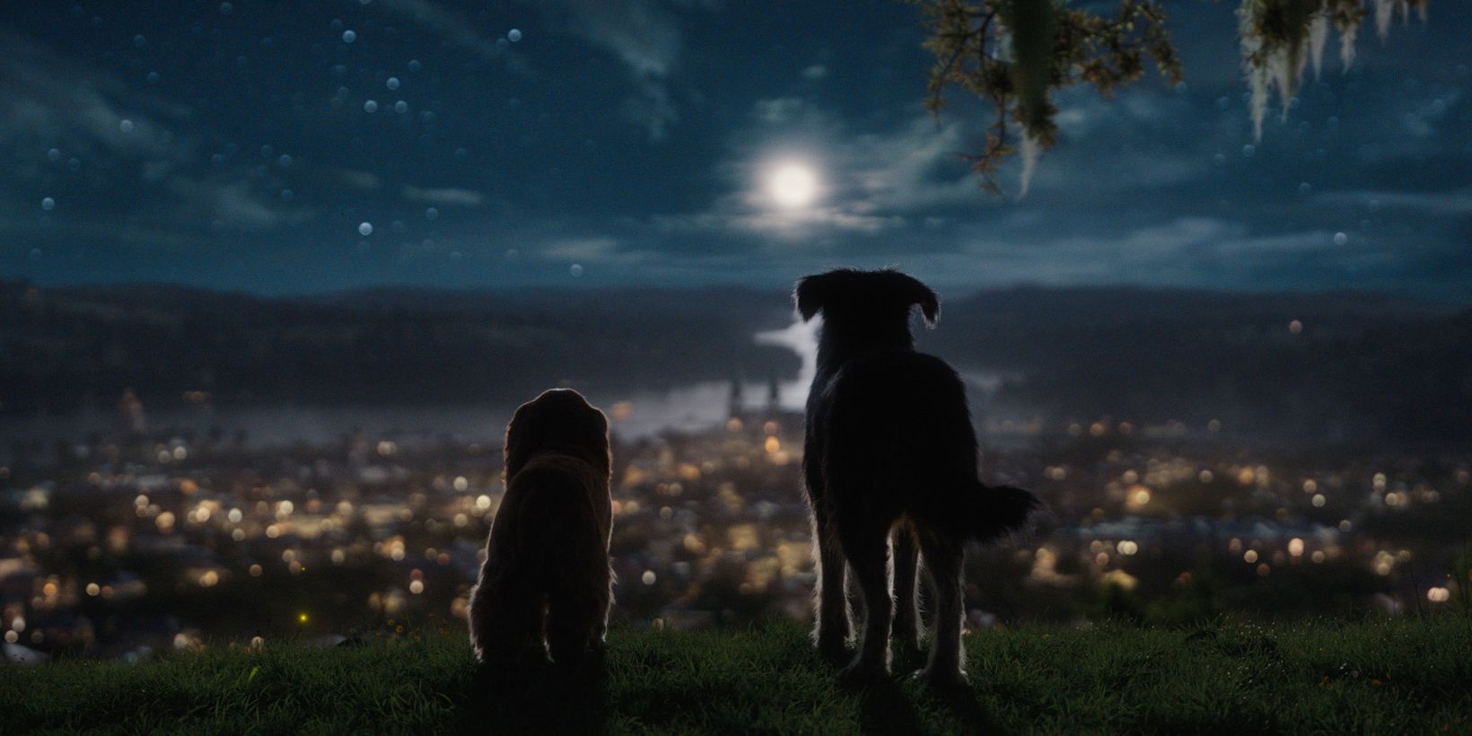Lady og landstrykeren/Lady and the Tramp