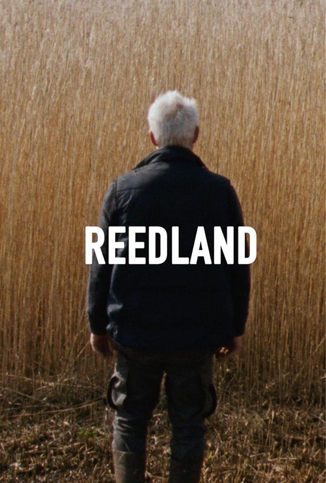 Bilde fra 'Reedland'
