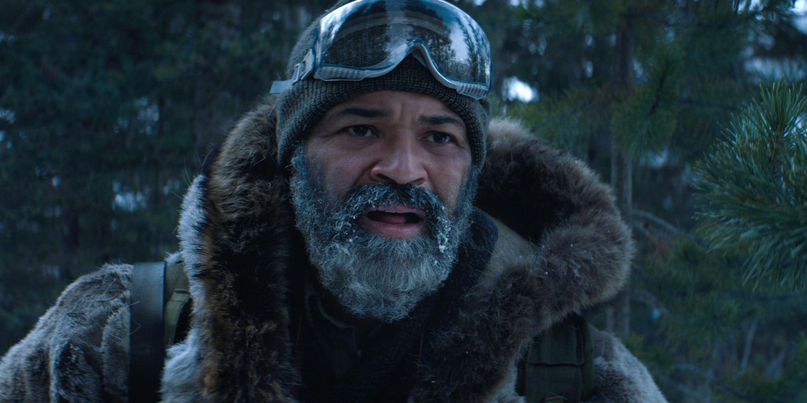 Hold the Dark/La mørket vente