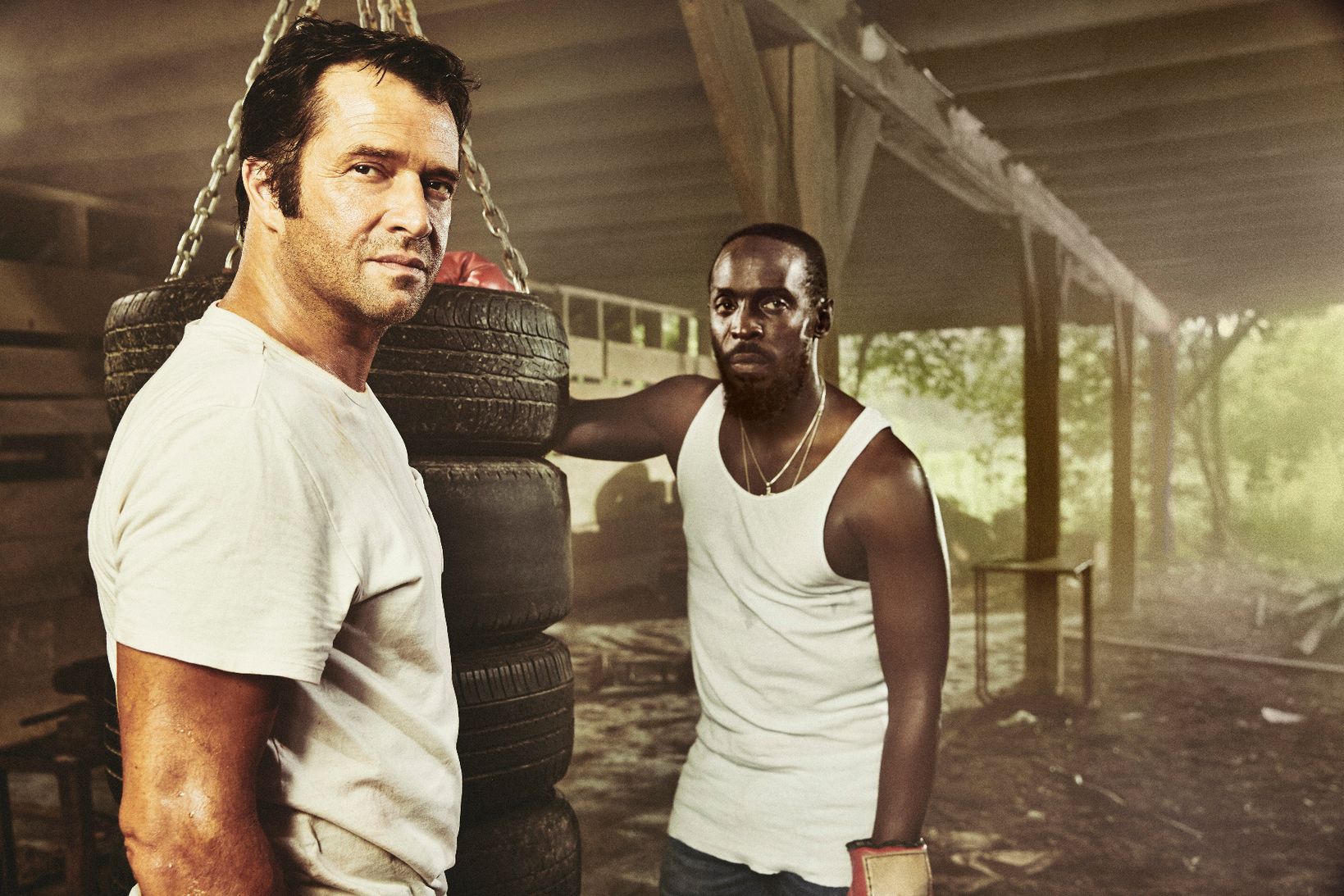 Michael K. Williams i Hap and Leonard