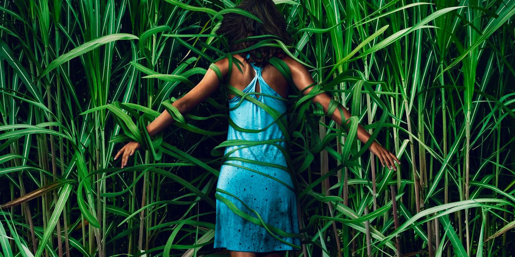 Laysla De Oliveira i In the Tall Grass