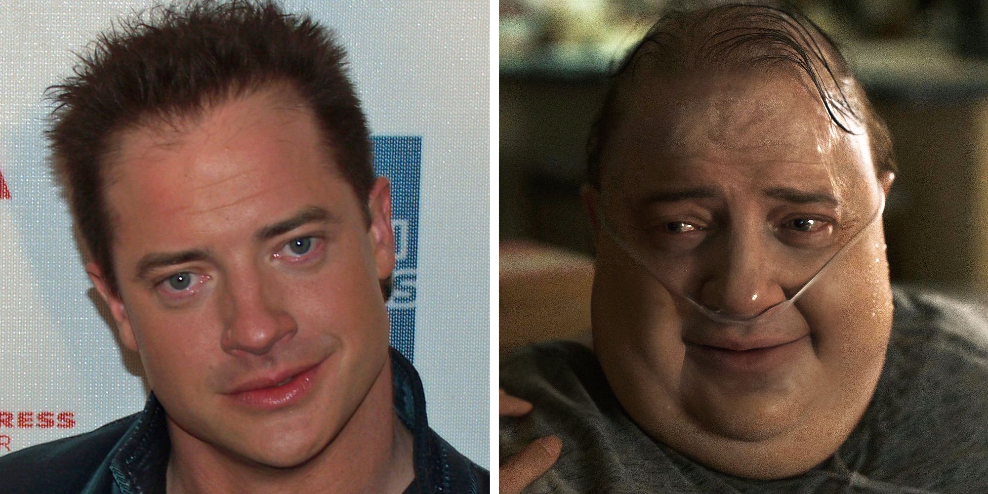 Brendan Fraser, The Whale