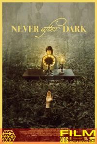 Plakat for 'Never After Dark'