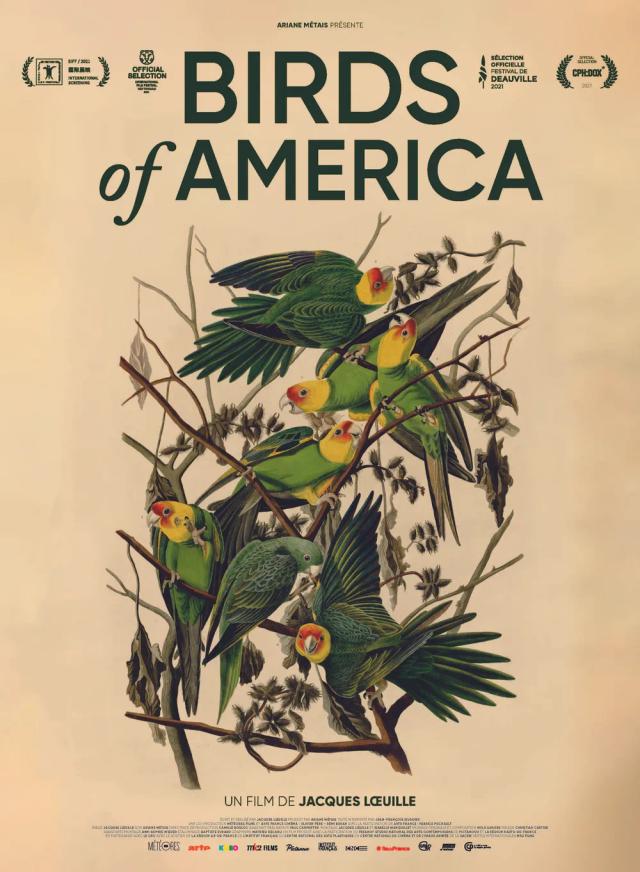 Birds of America
