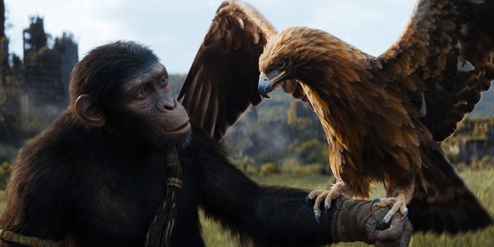 Kingdom of the Planet of the Apes