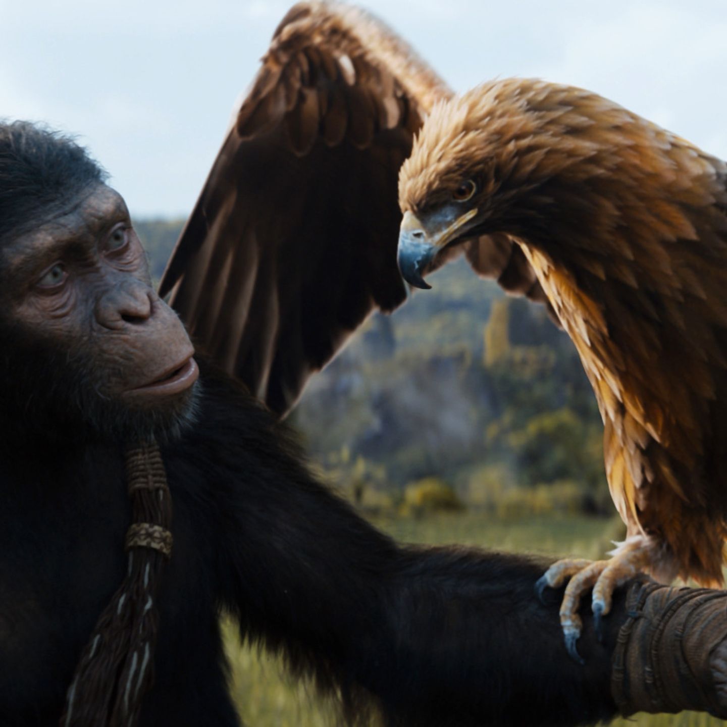 Kingdom of the Planet of the Apes