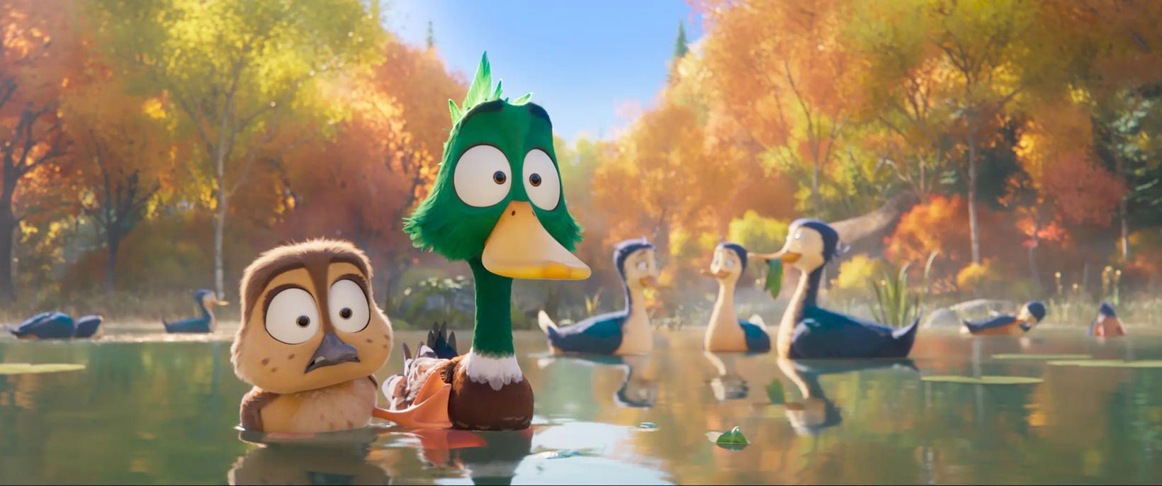 a group of ducks in a pond