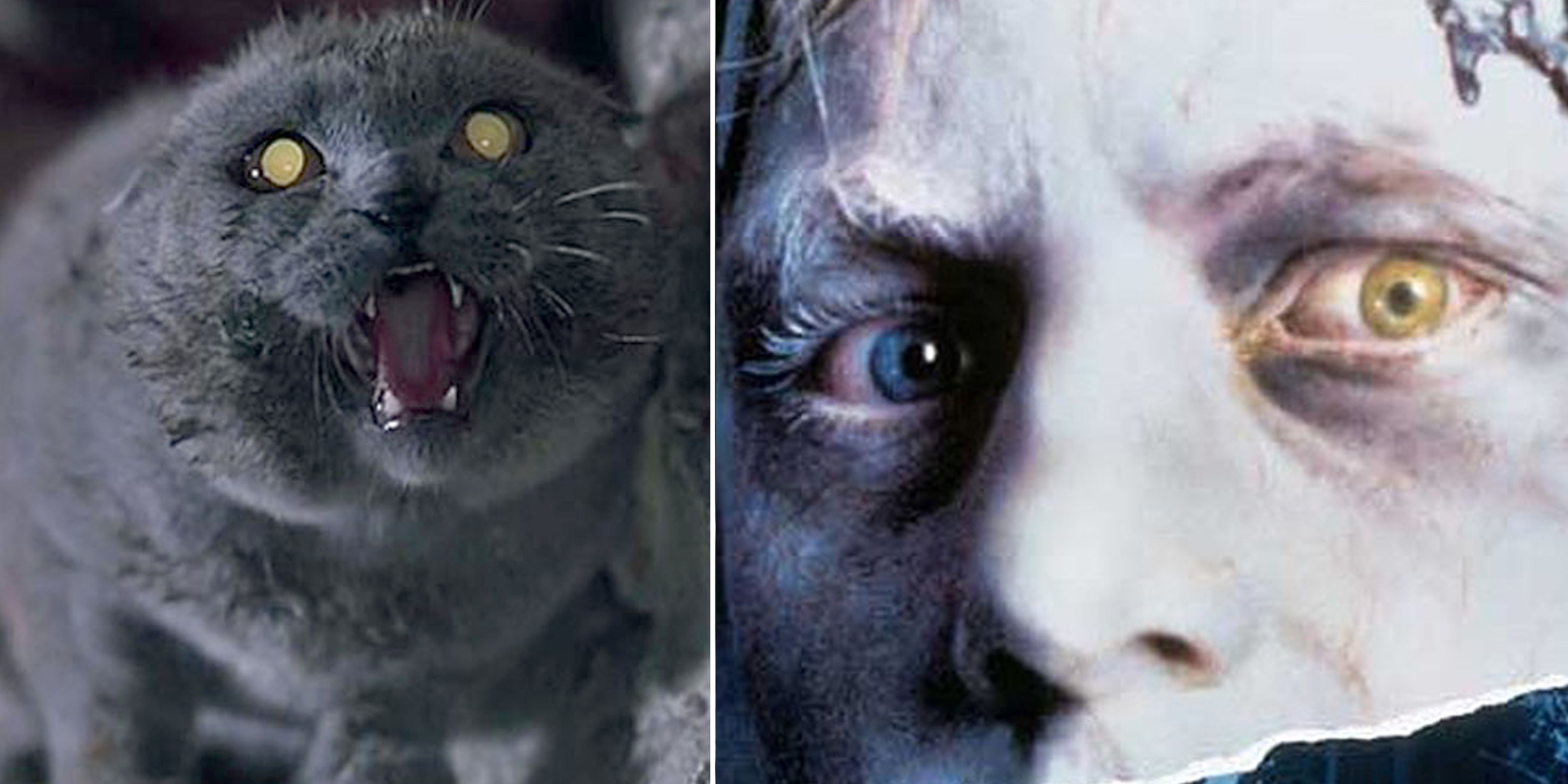 pet sematary