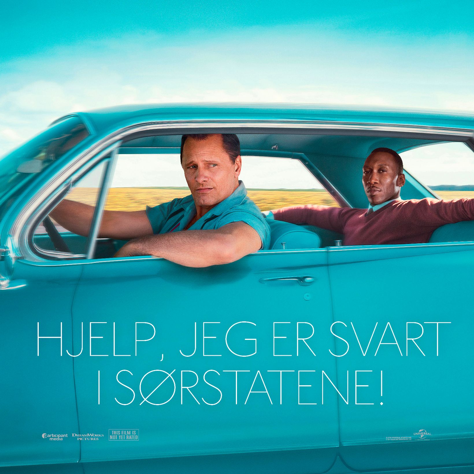 Hjelp, jeg er svart i sørstatene!  kunne vært en norsk tittel for Green Book